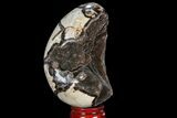 Septarian Dragon Egg Geode - Black Crystals #96001-2